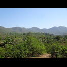 Das Hinterland von Goa ist hügelig